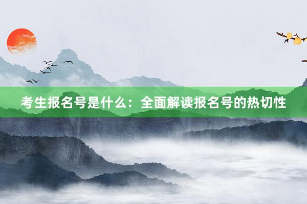 考生报名号是什么：全面解读报名号的热切性