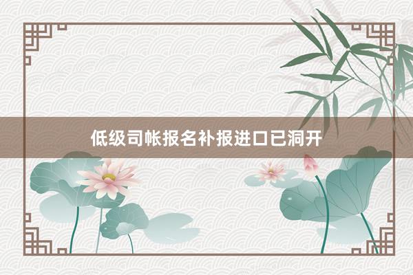 低级司帐报名补报进口已洞开