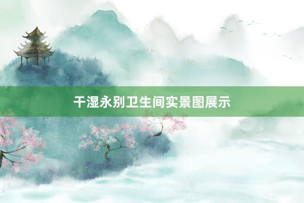 干湿永别卫生间实景图展示