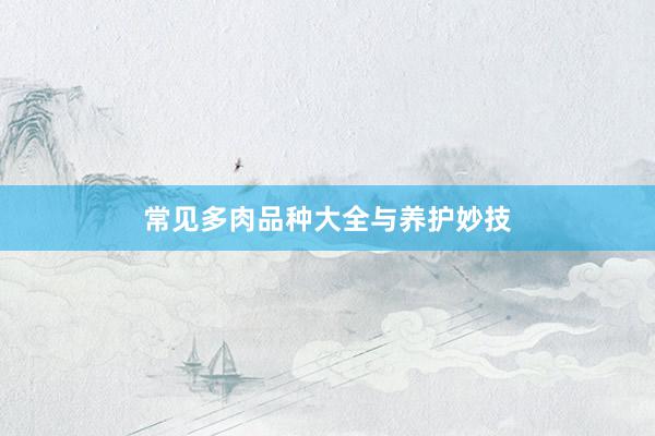 常见多肉品种大全与养护妙技